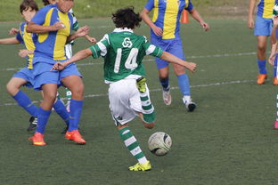 中国足球市场品牌价值提升路径，中国足球市场品牌价值提升路径研究